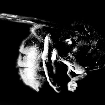Visual Arts - Duke of Kent School_011